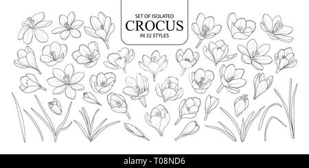 Set of isolated Crocus in 32 styles. Cute hand drawn flower vector illustration in black outline and white plane on white background. Stock Vector