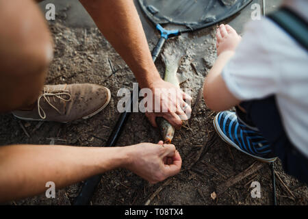 A midsection of father with small toddler boy fishing by a lake, holding a fish. Stock Photo