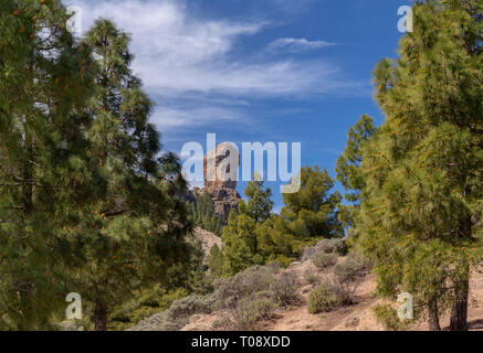 Roque Nublo volcanic plug and cloud pines, Gran Canaria, Canary Islands Stock Photo