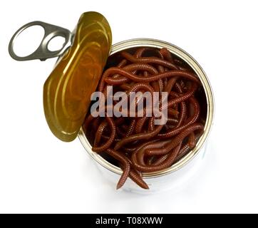 The proverbial can of worms opened - looking down from above - islolated on a pure white background. Stock Photo