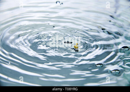 close up of drop in water making duck on water Stock Photo