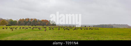 Exterior view of the famous Woodhenge at United Kingdom Stock Photo