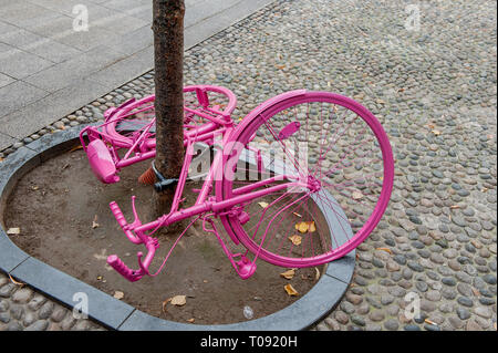 bicycle tied to a tree to avoid theft Stock Photo