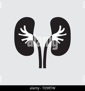 kidney disease paper icon. Stones in the kidneys. Pyelonephritis. Urolithiasis disease 10 eps Stock Vector