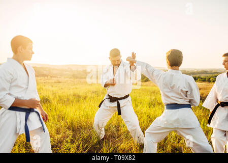 Junior karate fighters with master, combat skill training in summer field. Martial art workout outdoor, technique practice Stock Photo