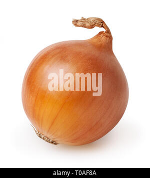 Bulb of onion isolated on white background with clipping path Stock Photo