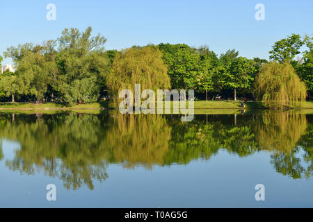 Novodevichy Convent park and pond in Moscow, Russia. Summer landscape Stock Photo