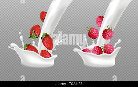 Milk splash with berry fruits Vector realistic. Strawberry and raspberry fresh fruit in milk or yogurt splash. 3d detailed illustration effect Stock Vector