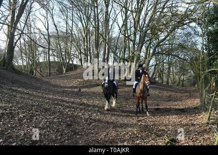 Horse riders riding in woodlands England Uk Stock Photo