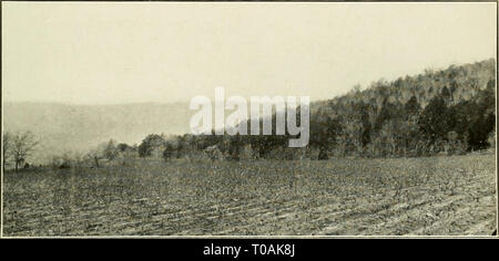 Economic botany of Alabama (1913-1928) Stock Photo