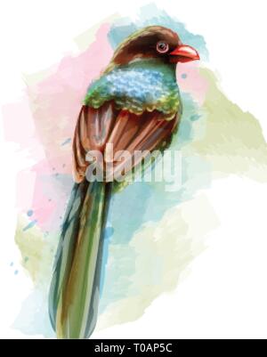 Cute blue bird watercolor Vector isolated on white. Vintage design Stock Vector