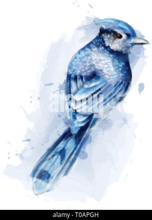 Cute blue bird watercolor Vector isolated on white. Vintage design Stock Vector