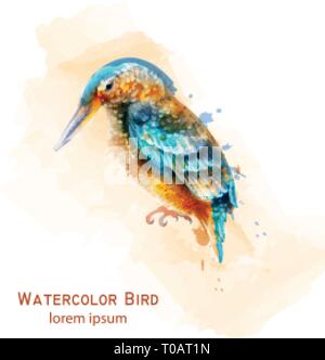 Kingfisher bird Vector watercolor. Colorful tropic bird isolated on white Stock Vector