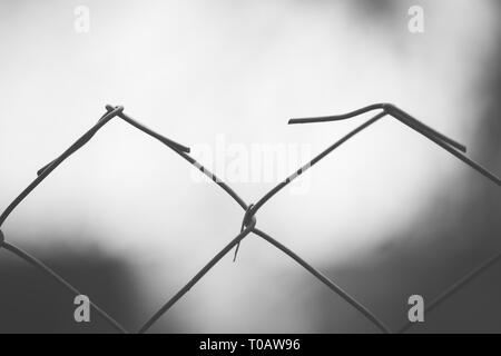 Barbed wire fence closeup. Macro photo. Selective focus Stock Photo