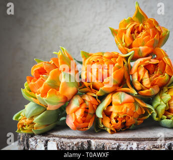 Beautiful orange tulips on wooden backdrop. Perfect for background greeting card Stock Photo