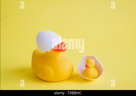 Rubber duck with eggshell on its head and duckling minimal parenting creative concept. Stock Photo
