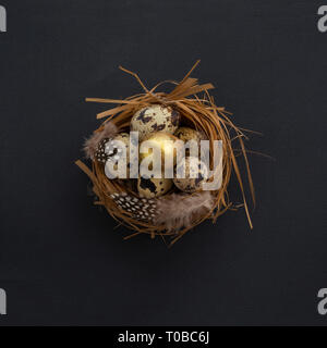 Happy Easter holiday greeting symbol natural wooden grass nest with quail eggs and feathers on black background Stock Photo