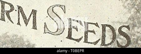Dreer's garden book 1923 (1923) Dreer's garden book 1923 dreersgardenbook1923henr Year: 1923  â ^ lELlAB-LE IB^    FARM SEEDS ARE SENT BY FREIGHT OR EXPRESS at customer's expense. We pack carefully and deliver to transportation company here, and always make the shipment via the best and quickest route PRICES ON ALL FARM SEEDS ARE SUBJECT TO MARKET CHANGES Pusey Cloud Yellow Dent. (See cut.) At the Chester County, Pa., Corn Show; Mr. Pusey Cloud, the originator, was awarded the prize for this variety; also prizes at both the National and Pennsylvania Corn Shows. It matures in 100 to 110 days, a Stock Photo