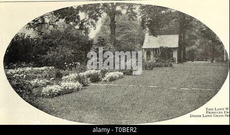 Dreer's garden book 1928 (1928) Dreer's garden book 1928 dreersgardenbook1928henr Year: 1928  tmeumbMmiflbmiM&iJ^snm 47    This Lawn Was Produced From Dreer Lawn Grass Seed LAWN GRASS SEEDS-Continued Dreer's 'Putting Green' Mixture A careful study of the requirements for making the most sub- stantial turf for Putting Greens developed the mixture herewith offered by us for this purpose. The varieties comprising it are all of the fihe-bladed, low-growing and most hardy kinds, and main- tain their rich, green color throughout the season. For Tennis Courts, Cricket Tables, and wherever a billiard  Stock Photo