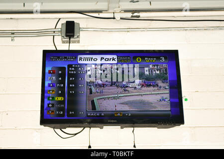 A funky block wall with exposed conduit and wires support a wall mounted television screen simulcasting from the Rillito Park Racetrack in Tucson, AZ Stock Photo