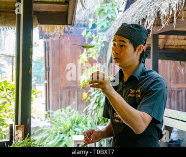 SE Asian cooking lesson with instruction from Lao chef at Tamarind cookery school, Luang Prabang, Laos Stock Photo