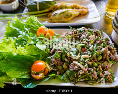 SE Asian Lao dish with beef laap or salad and stuffed lemongrass at Tamarind cookery school, Luang Prabang, Laos Stock Photo