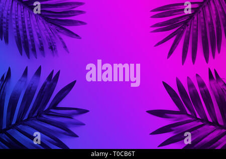 Tropical leaves with vibrant,gradient color background.Nature and summer concepts ideas.For decoration design Stock Photo