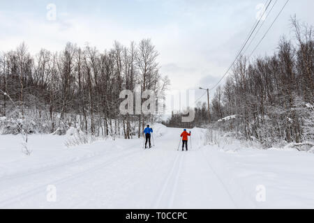 Landscape along the Ski tracks for cross country skiing in Tromsdalen, Tromsø/Norway. February 2019. Stock Photo