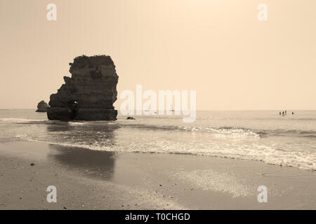 Water sport activities in early morning, Algarve, Portugal. Gentle waves rolling on sandy sea beach. Stock Photo