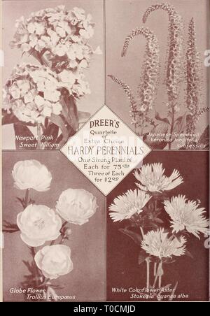 Dreer's garden book 1917 (1917) Dreer's garden book 1917 dreersgardenbook1917henr Year: 1917 Stock Photo