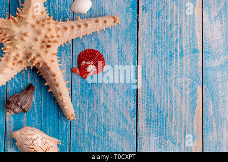 Top view of big starfish and small seashells on blue wood textured background - with copy space - summer time and holiday backdrop concept Stock Photo