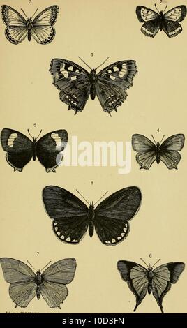 Elementary text-book of entomology (1892) Elementary text-book of entomology elementarytextbo00kirb Year: 1892  Plate XLVIII.