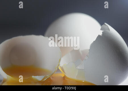 Broken chicken egg with yolk Stock Photo