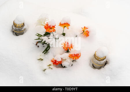 Winter Flowers - Mt Calvary Cemetery