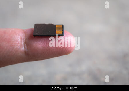 Adaptateur micro sd Banque de photographies et d'images à haute résolution  - Alamy