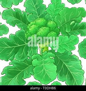 broccoli vector pattern on white background Stock Vector