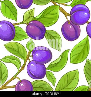 plum vector pattern on white background Stock Vector