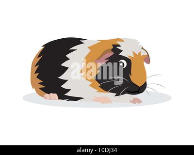 Cute friendly guinea pig icon isolated on white background, small fluffy rodent pet, vector illustration Stock Vector