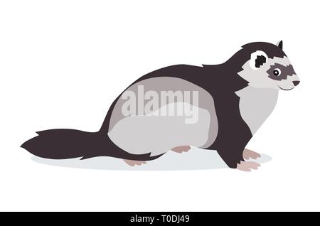 Cute gray ferret icon isolated on white background, small fluffy pet, domestic animal, vector illustration Stock Vector