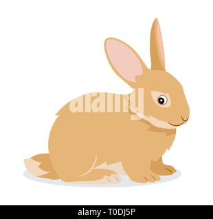 Cute rabbit icon isolated, small fluffy pet with long ears, domestic animal, vector illustration Stock Vector