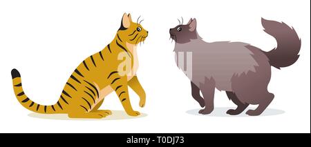 Two cats vector - Smooth coated ginger cat with long tail and Long-haired cat with long fluffy tail, cute gray pet, domestic animal, vector Stock Vector