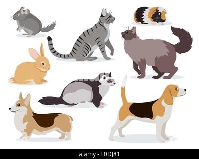 Pets icon set, cute gray chinchilla, fluffy ferret, smooth coated and domestic long-haired cats, corgi, beagle, dogs, rabbit, guinea pig isolated Stock Vector