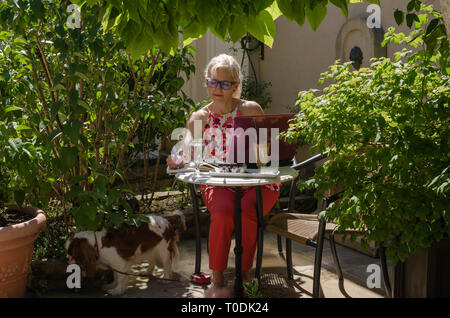 Business woman on holidays, in a lush garden, working on a laptop in a company with her pet - Cavalier King Charles Spaniel Stock Photo
