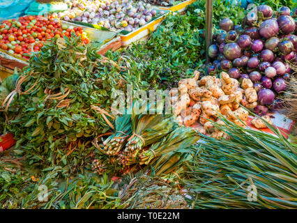 Vegetable display at market stall with cherry tomatoes, green pumpkins, herbs and Thai purple eggplant, Phosy day market, Luang Prabang, Laos, SE Asia Stock Photo