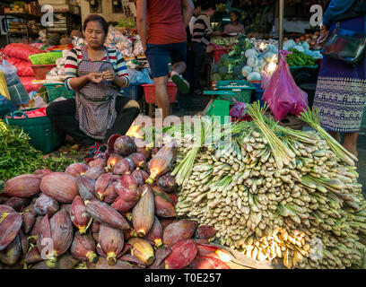 Woman vegetable stall holder with banana flowers and lemongrass for sale, Phosy day market, Luang Prabang, Laos, SE Asia Stock Photo