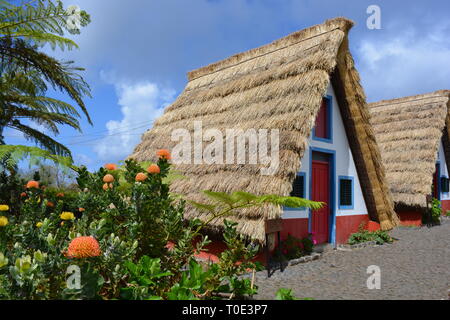 Typical stone houses, painted red, white and blue, with triangular shaped straw thatched roof in the village of Santana / Santa Ana, Madeira, Portugal Stock Photo