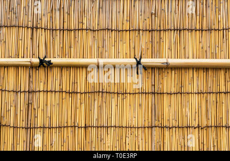Yellow Bamboo cane wall with black knots as background Stock Photo