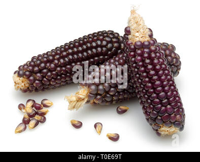 Dried purple corn isolated on white background Stock Photo