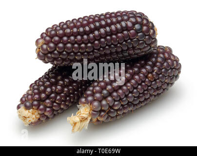 Dried purple corn isolated on white background Stock Photo
