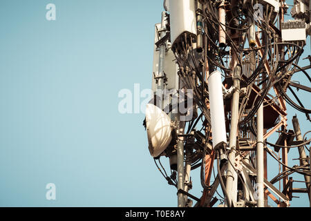 A Bird spotted on a High-Voltage Transformer. Birds don't get shocked as they are not a good conductors of electricity. Stock Photo